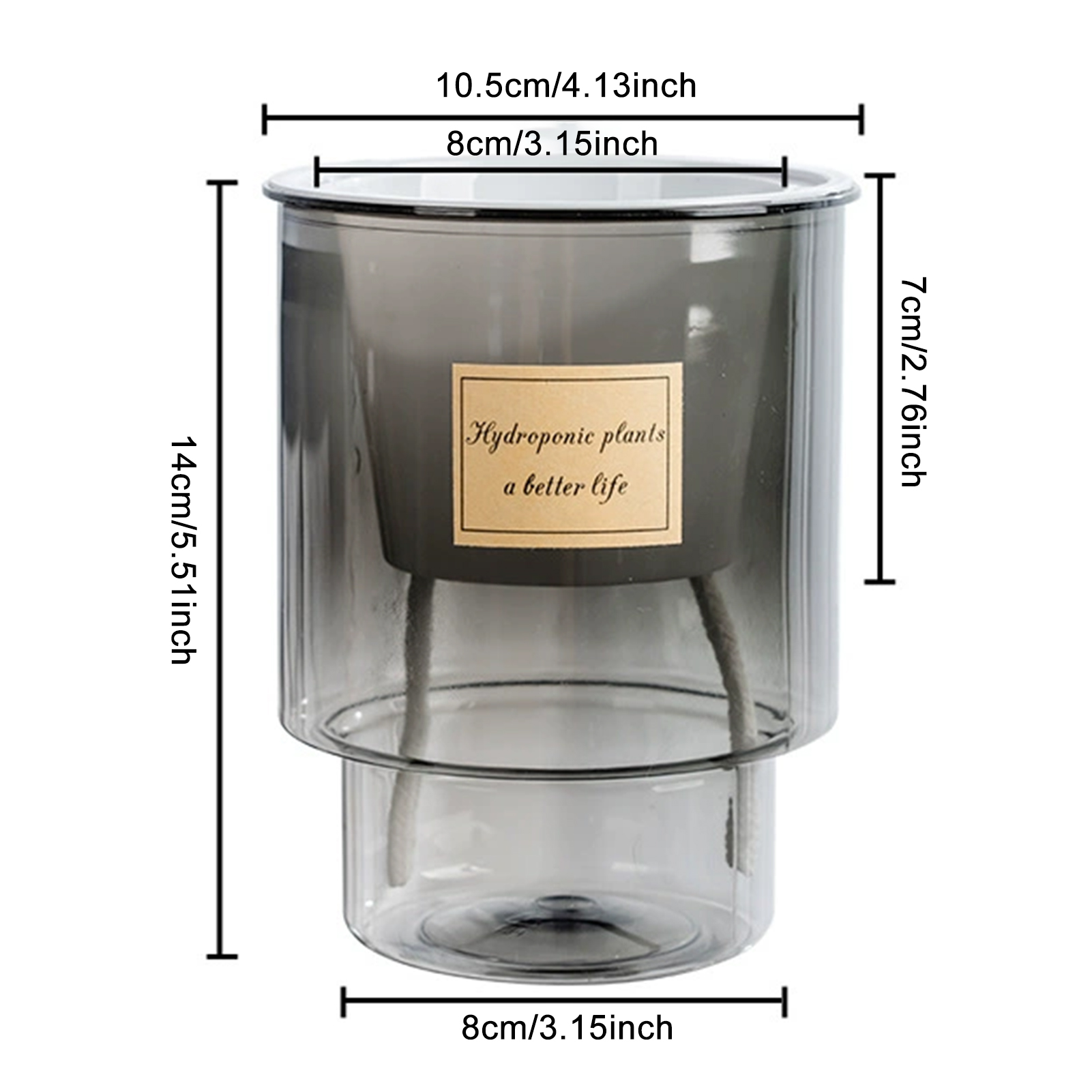 Automatic Water-Absorbing Flow - Echeveria Succulent recension och pris